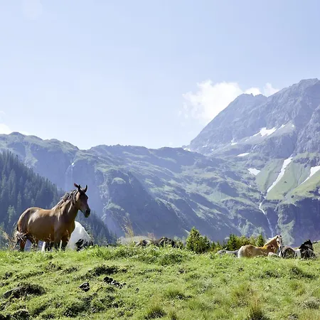 With Sauna And In Out Apartman Hollersbach im Pinzgau